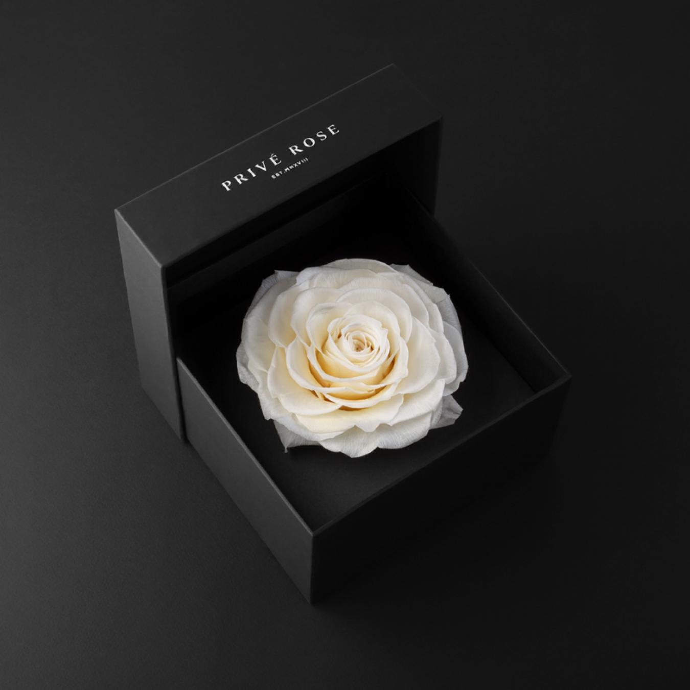 ورد طبيعي و عطر بنتلي هدايا للحب
