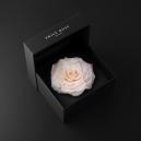 ورد و عطر بربري هدايا حب - 5