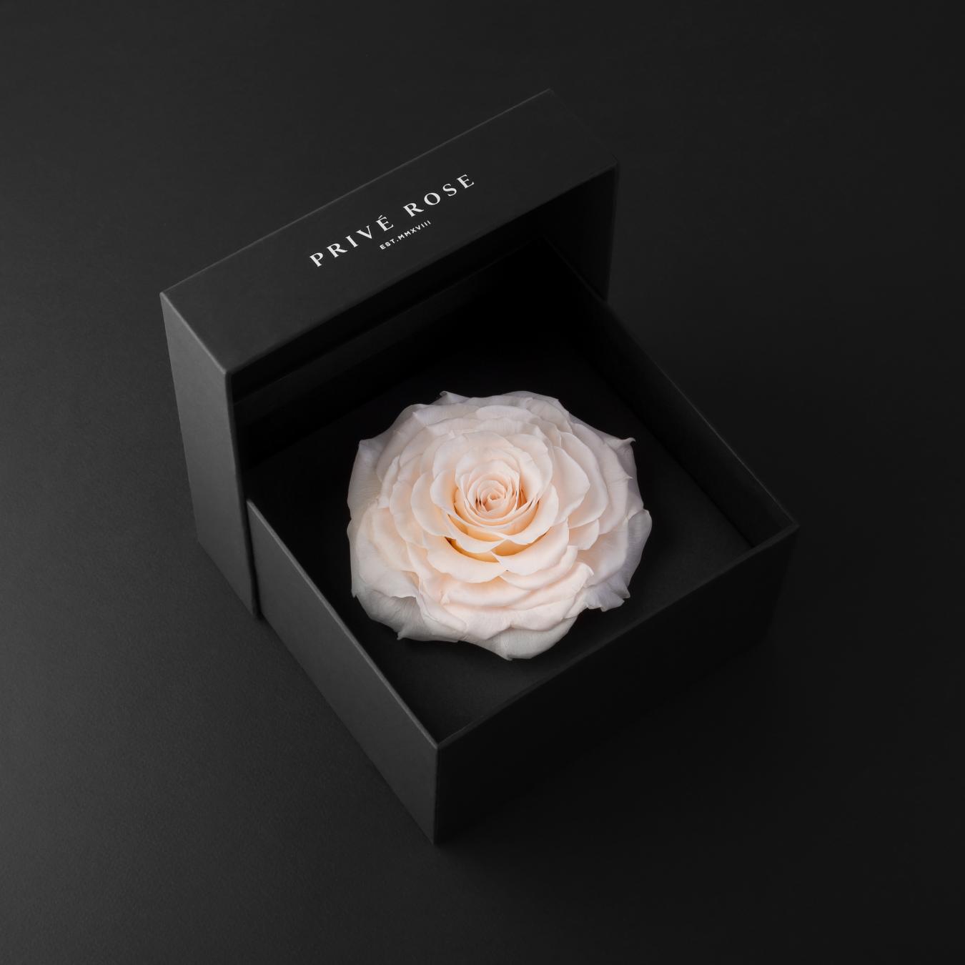 ورد و عطر بربري هدايا حب