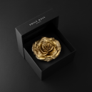 عطر دولتشي آند جابانا و ورد صندوق هدايا - 4