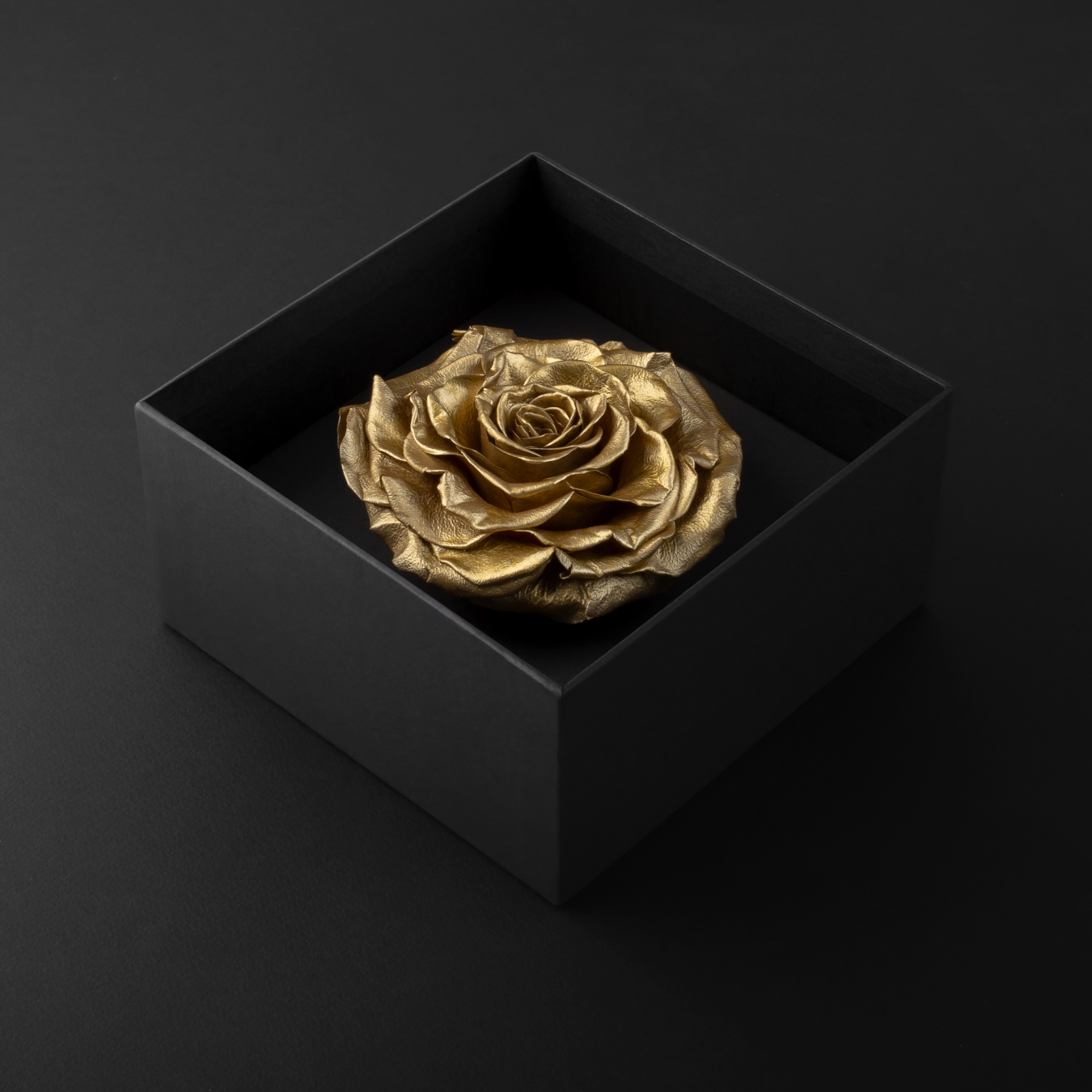 عطر دولتشي آند جابانا و ورد صندوق هدايا