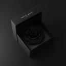 ورد و عطر فرانك هدايا نجاح - 4