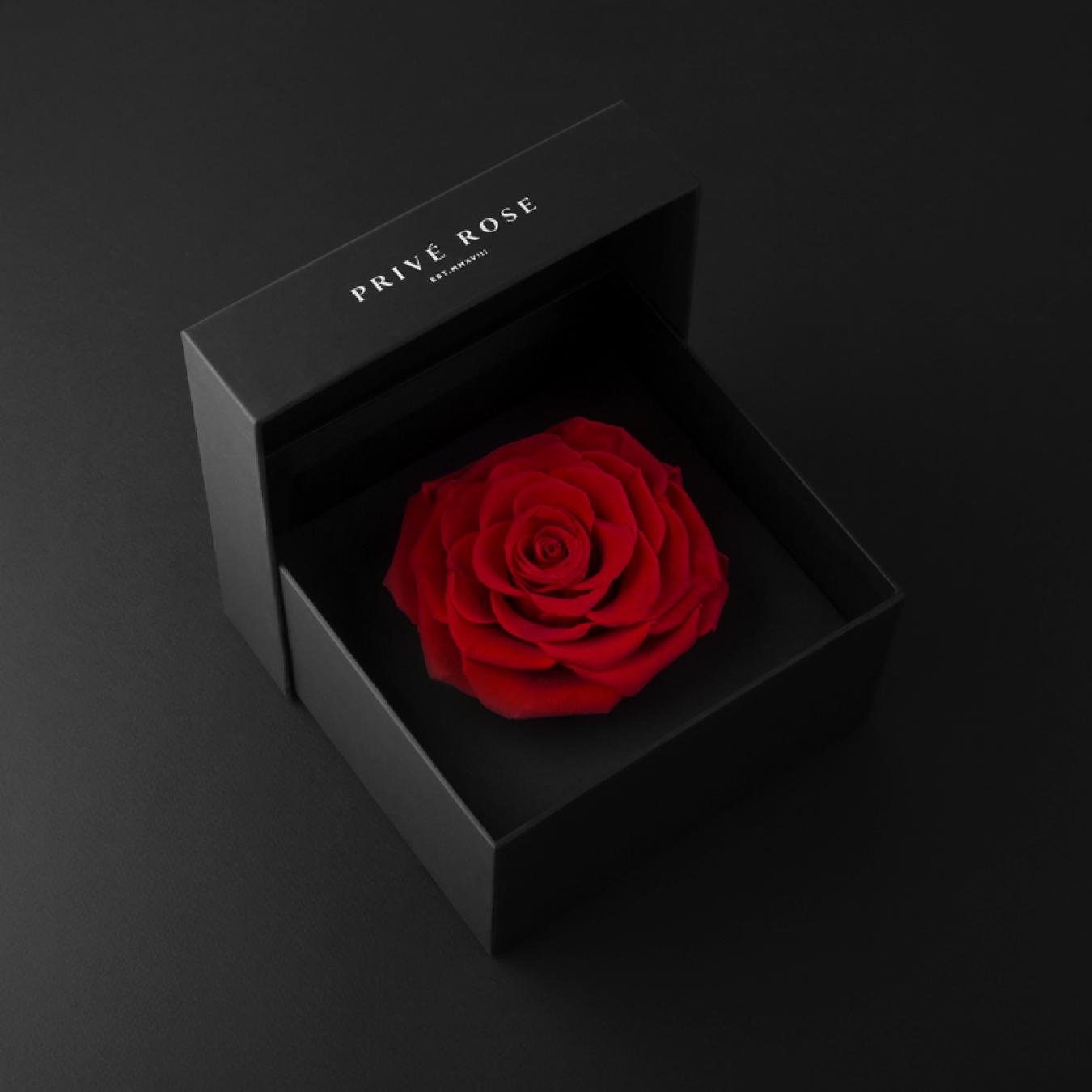 عطر جيرلان و ورد هدايا راس السنة