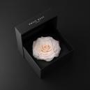 ورد و عطر جيرلان هدايا عرسان - 5