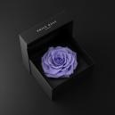 ورد و عطر باكو رابان هدايا رجاليه رخيصه - 5