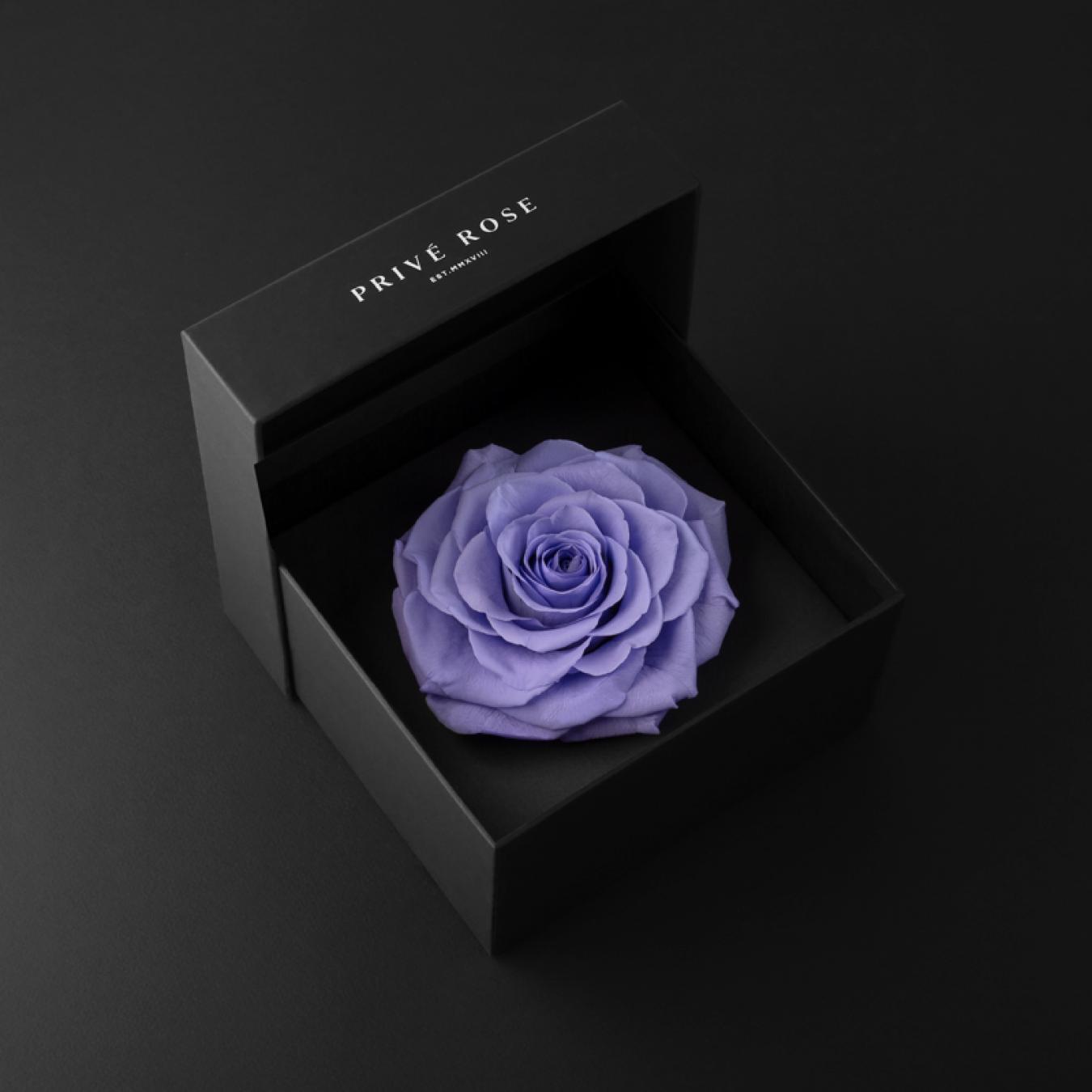 ورد و عطر باكو رابان هدايا رجاليه رخيصه
