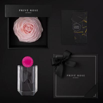 ورد و عطر ستيلا هدايا للطالبات