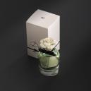عطر دولتشي اند جابانا دولتشي - أو دي بارفيوم للنساء 75مل - 2