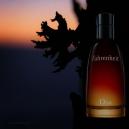 عطر ديور فهرنهايت للرجال 100 مل - 2
