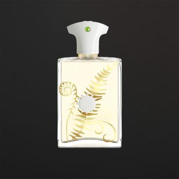 عطر أمواج براكن للرجال 100 مل