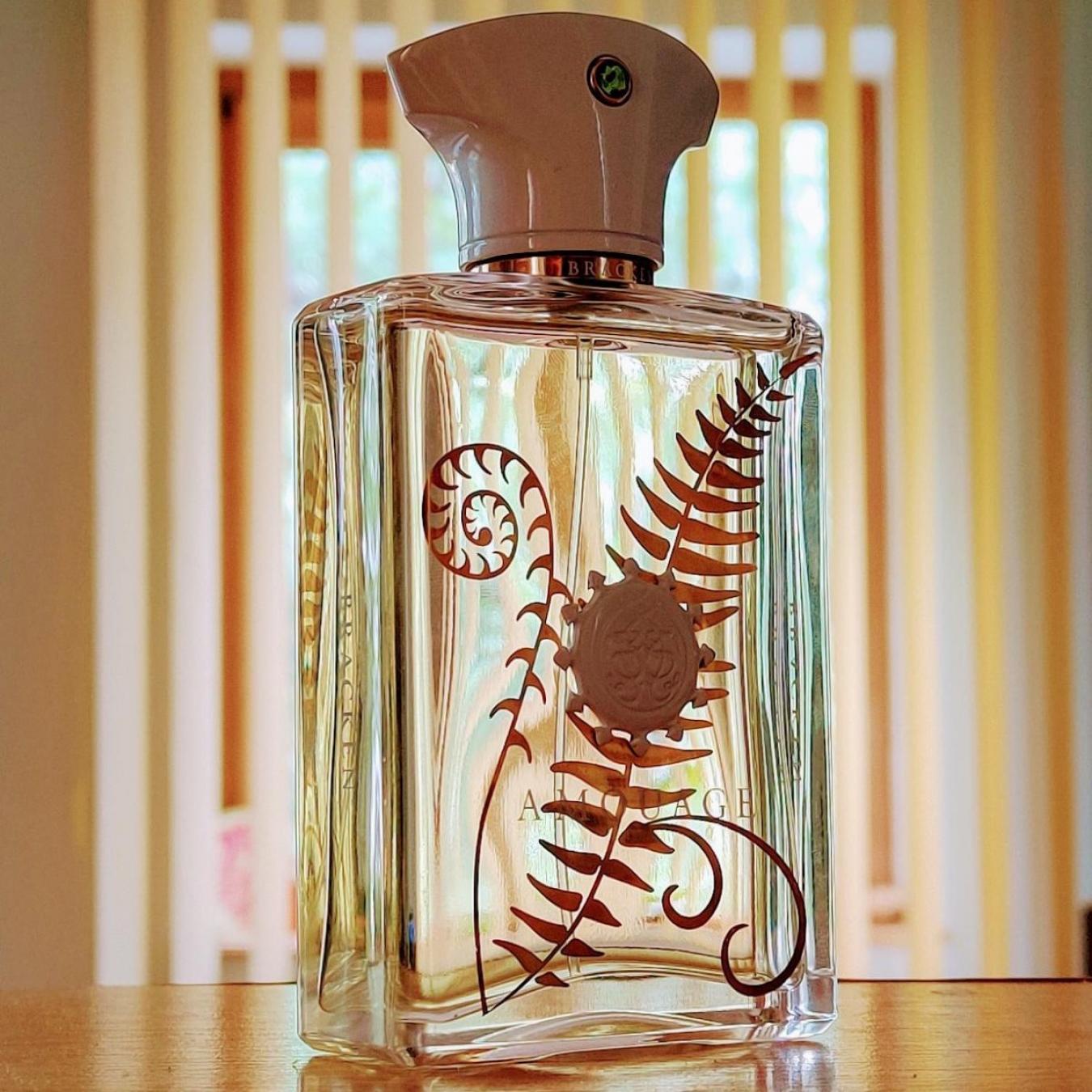 عطر أمواج براكن للرجال 100 مل