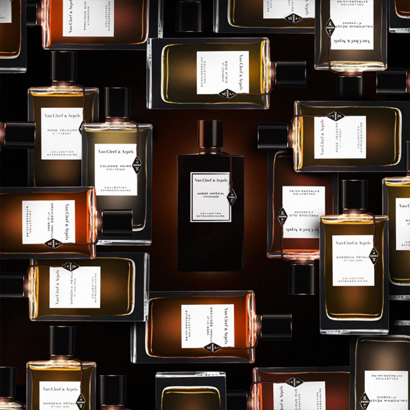 عطر فان كليف اند اربلز عمبر امبريال للجنسين 75 مل