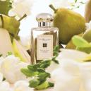 عطر جو مالون انجلش بير أند فريسيا للنساء 100 مل - 1