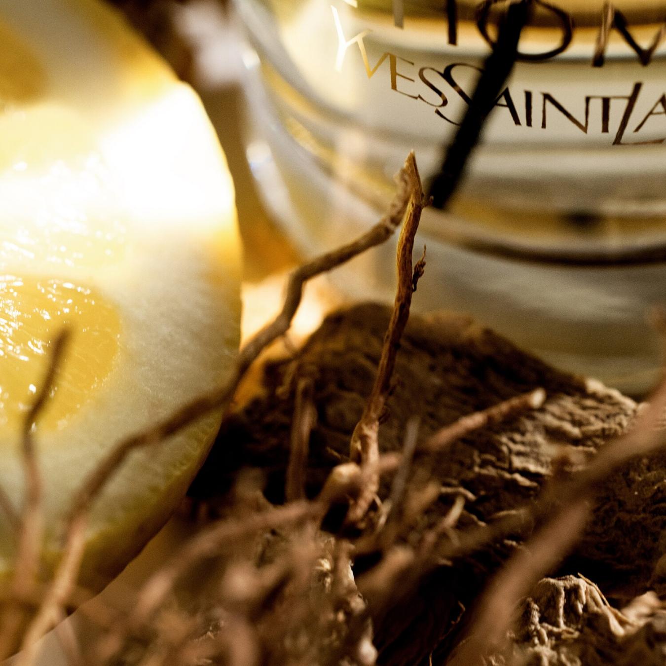 عطر إيف سان لوران لوم للرجال 100 مل
