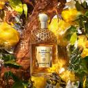 عطر جيرلان أكوا أليجوريا عود يوزو فورتي للجنسين 125 مل - 1