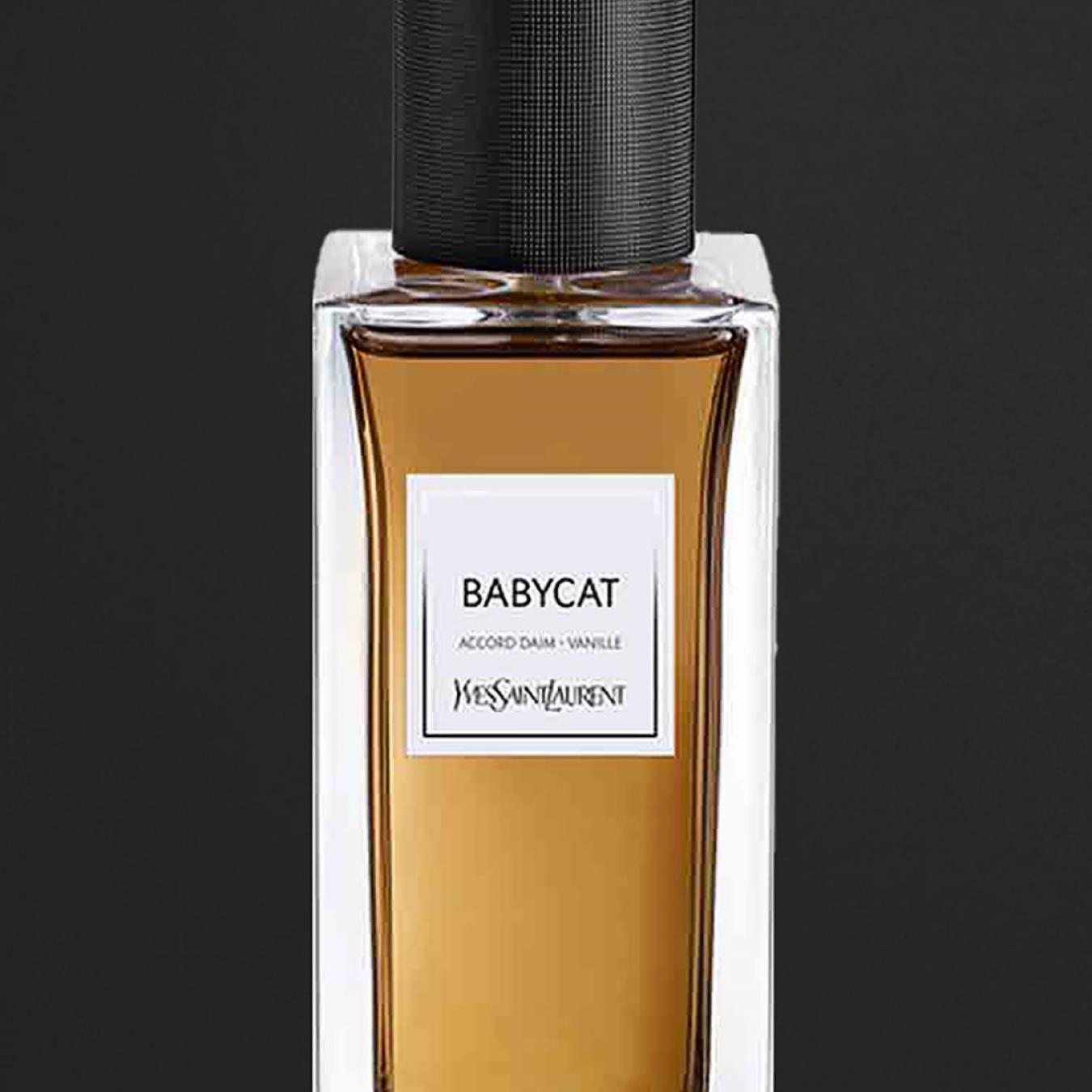 عطر ايف سان لوران بيبي كات لو فيستيير للنساء 125 مل