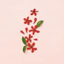 عطر قوتشي بلوم للنساء 100 مل - 3