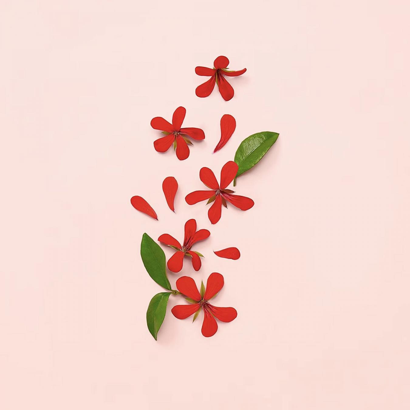 عطر قوتشي بلوم للنساء 100 مل