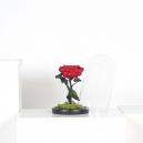 فازة ورد احمر طبيعي دائم PRVM-RED