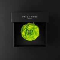 وردة طبيعية دائمة أخضر فاتح بريفي روز PRL-GRE5