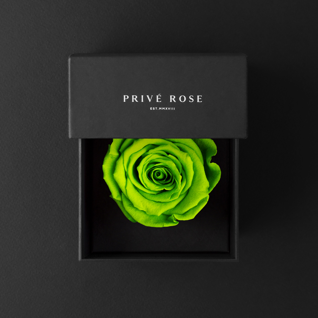 وردة طبيعية دائمة أخضر فاتح ميني بريفي روز PRS-GRE5