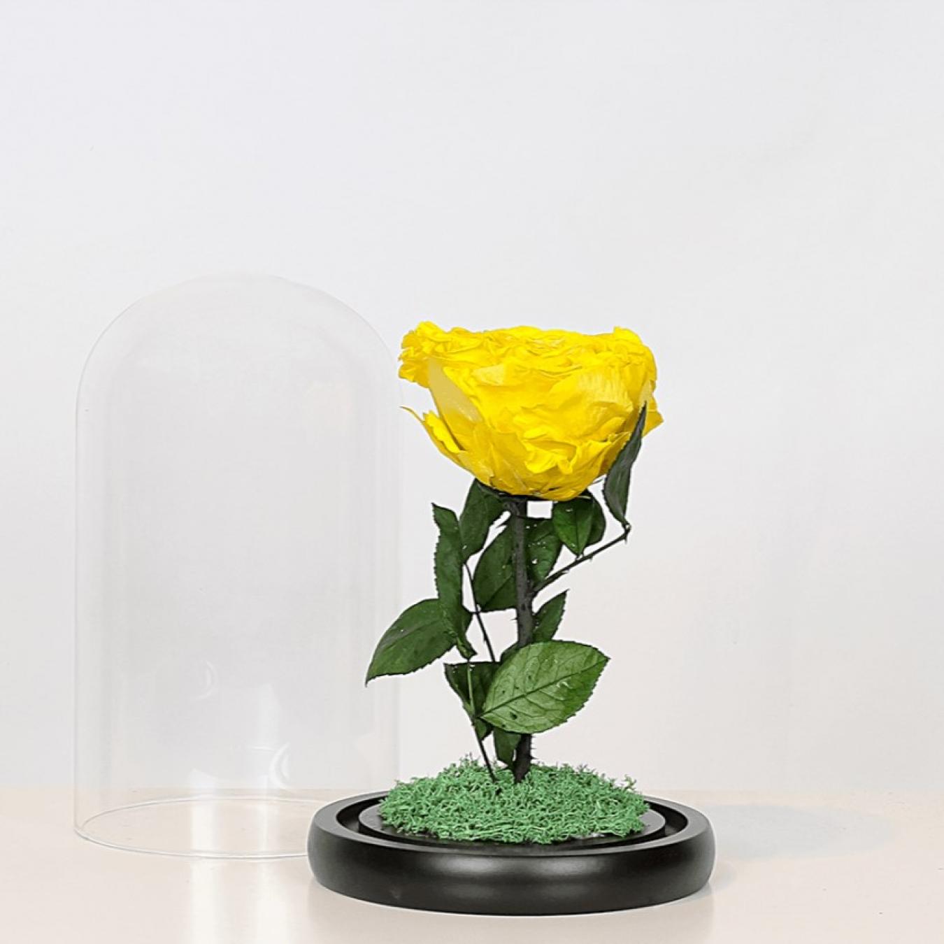 فازة ورد اصفر طبيعي دائم PRVM-YL1