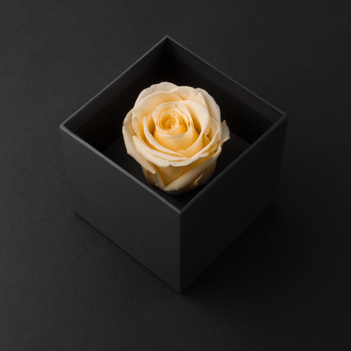 هدايا حلوه رجالية شماغ كاستل LB2212