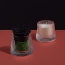 ورد طبيعي اسود مع شمعة معطرة - 1