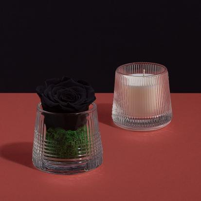 ورد طبيعي اسود مع شمعة معطرة