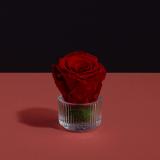 هدية عطر كريستيان ديور جوي مع وردة وشمعة - PRR2
