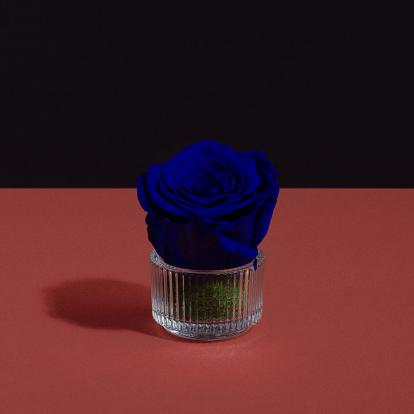 وردة طبيعية دائمة أزرق ميني بريفي روز PRU3