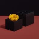 وردة طبيعية دائمة أصفر ميني بريفي روز PRY5 - 3