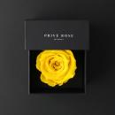 وردة طبيعية دائمة أصفر ميني بريفي روز PRY5 - 8