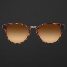 نظارة شمسية بني من ماركة بروف اي وير 1008
